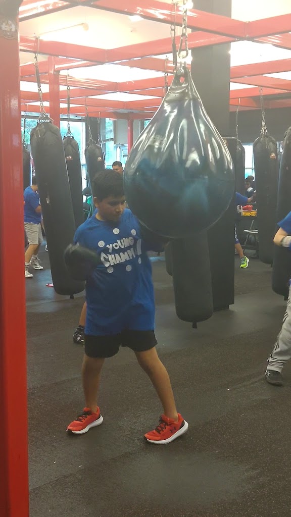  Champion Boxing & Fitness