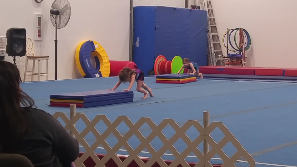  Classic Gymnastics