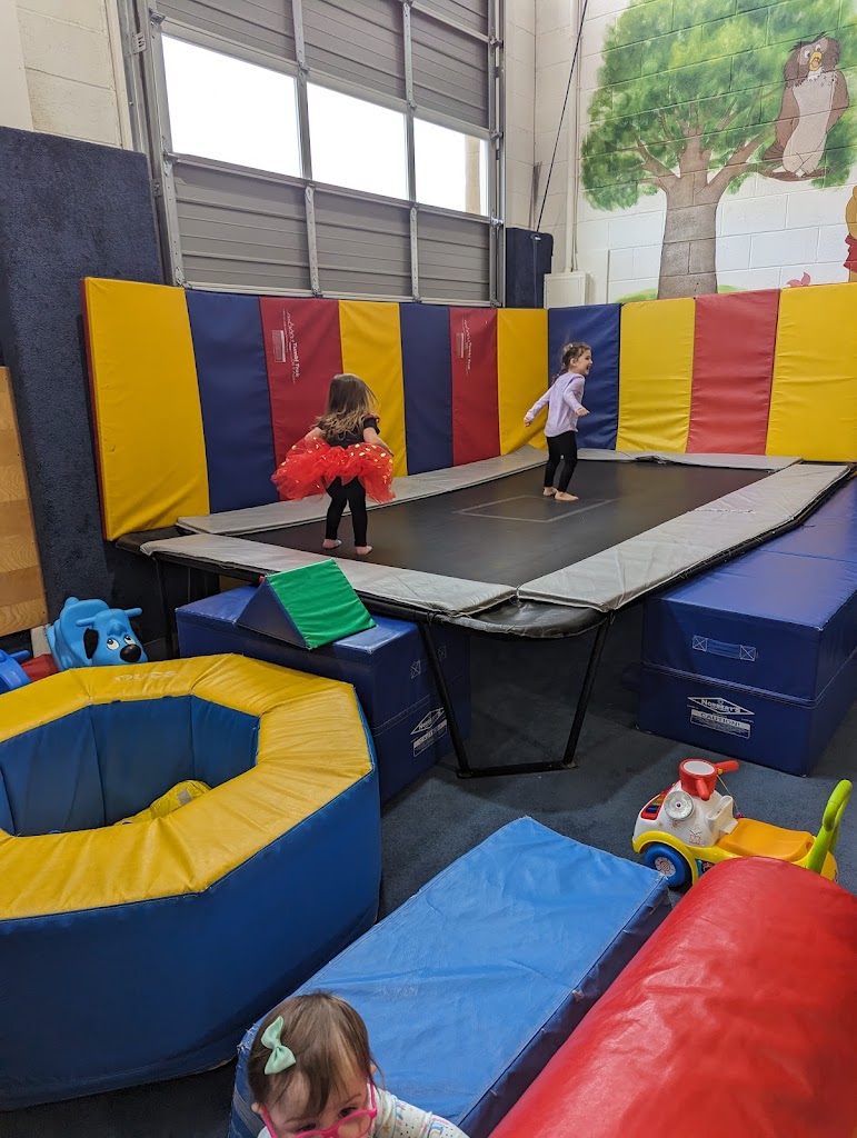  All American Gymnastics