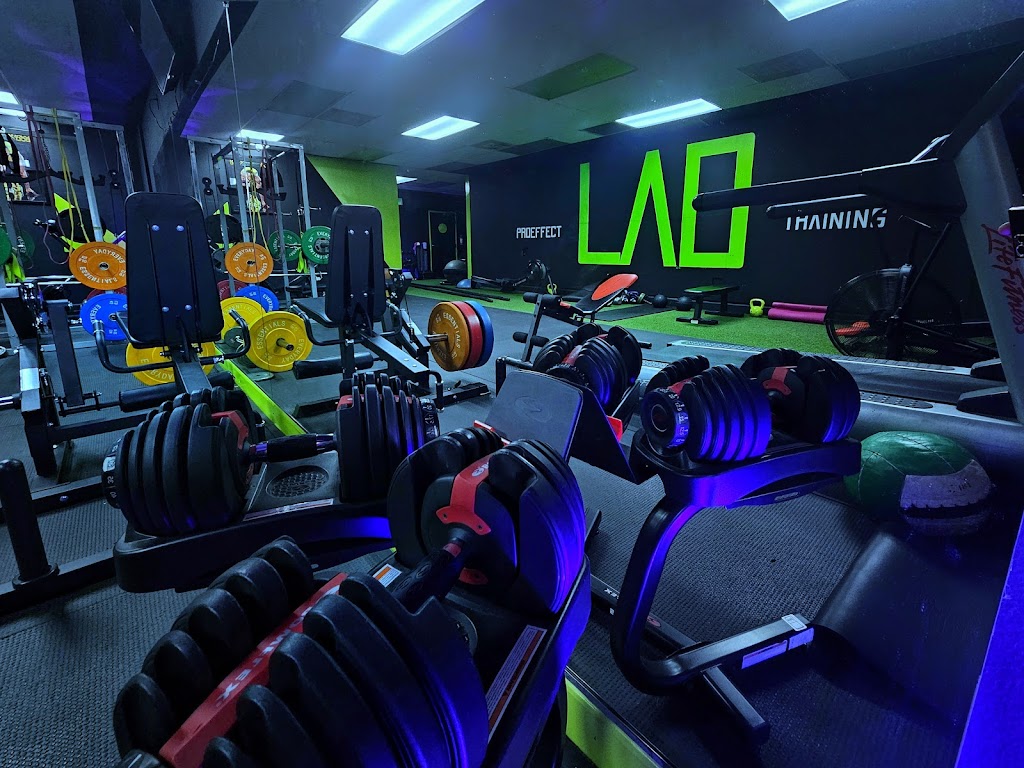  PROEffect Fitness LAB 360 Personal Training Southbay