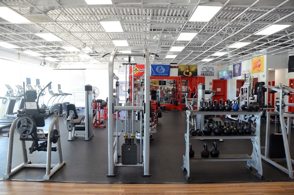  Fit Gym of Fenton