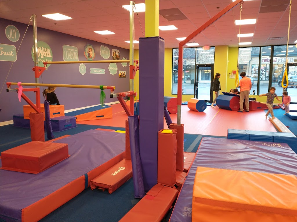  The Little Gym of Kansas City North-Parkville, MO