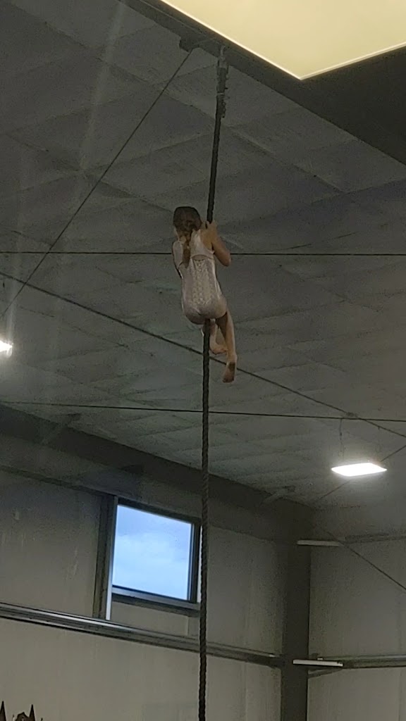  River Falls Gymnastics Club
