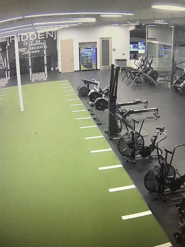  Hidden Gym at Pegasus Park