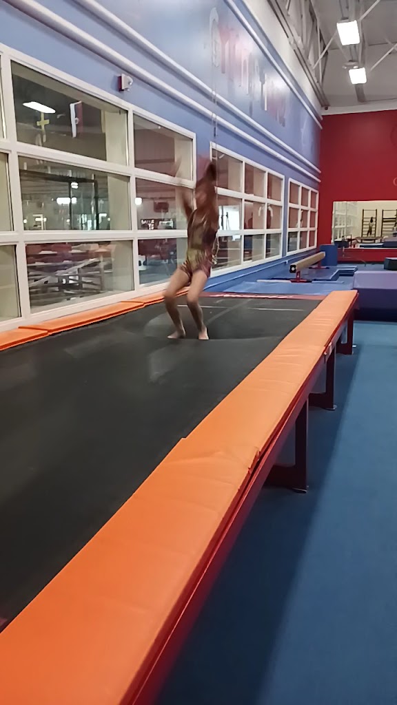  Gymnastics 702