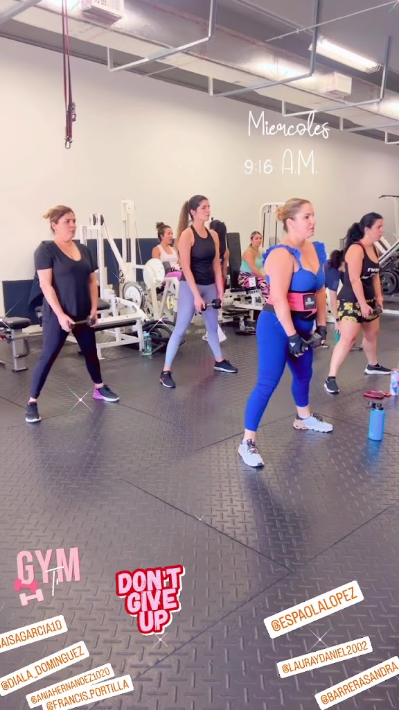  Ladies Fitness of Miami YSL Corp.