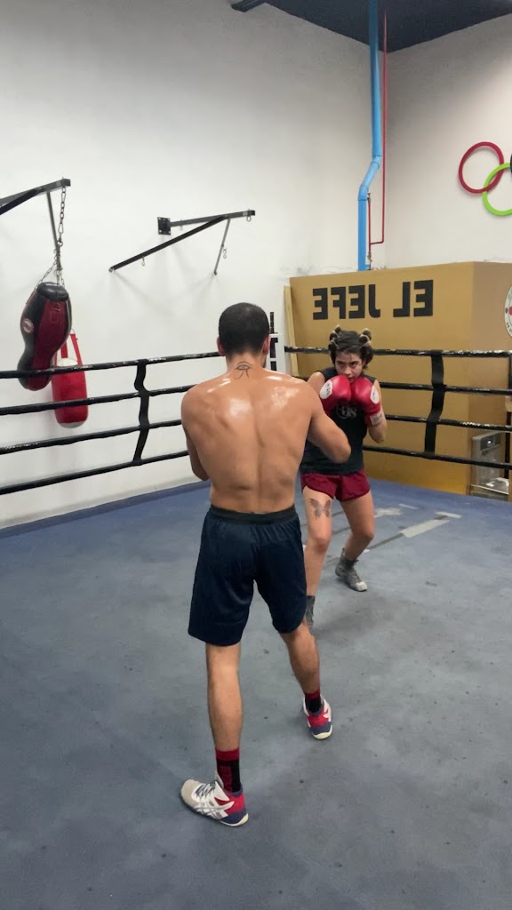  Missile Boxing & Muay Thai