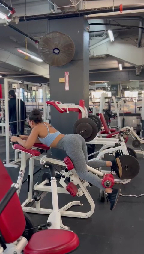  Xtreme Fitness of Westchester