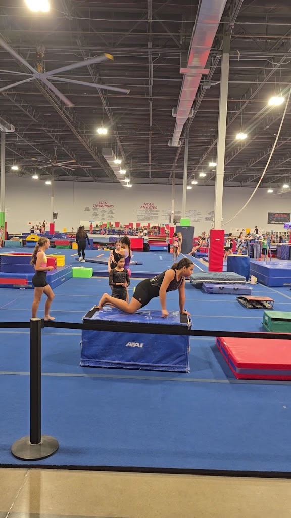  Gold Medal Gymnastics