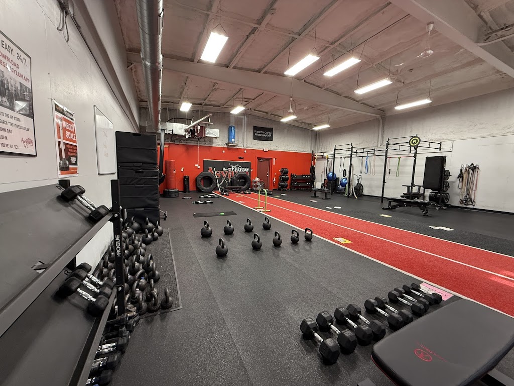  The Fitness Asylum - Grafton