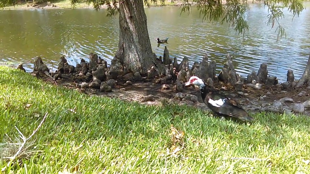  Oakleaf Village Athletic Center