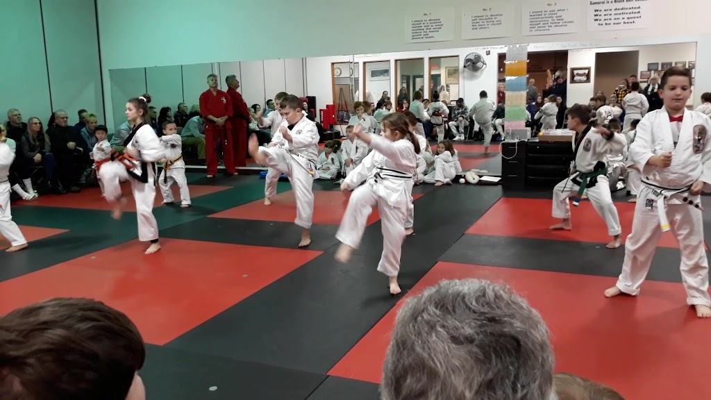  Samurai Martial Arts