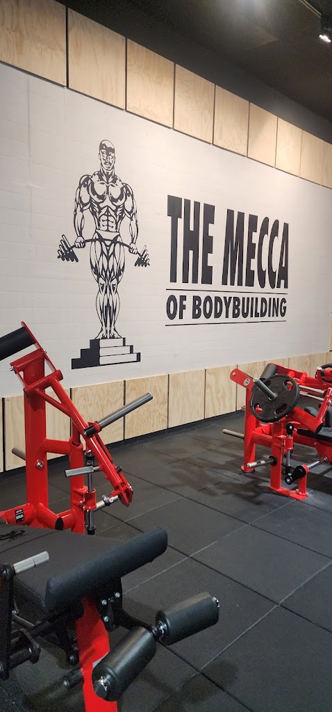  Gold's Gym San Jose (Hamilton)