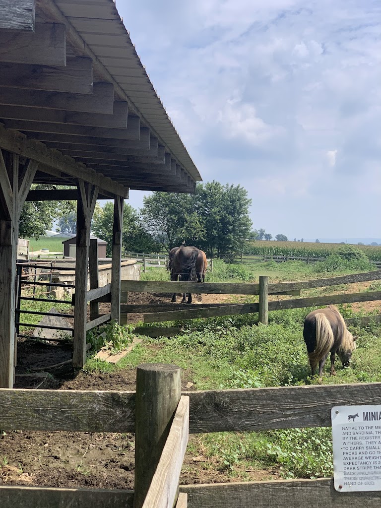  Gymnastic Center of Hershey