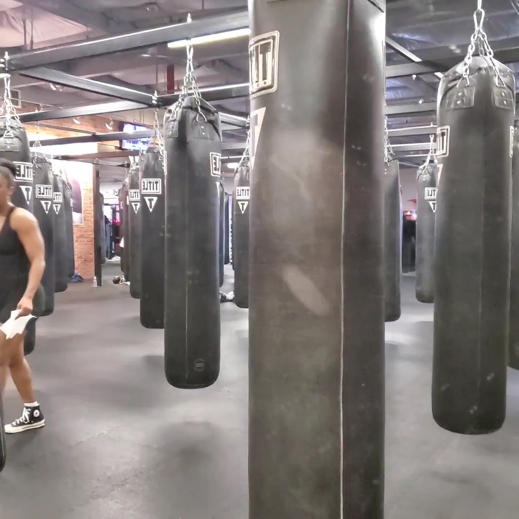  TITLE Boxing Club Arcadia