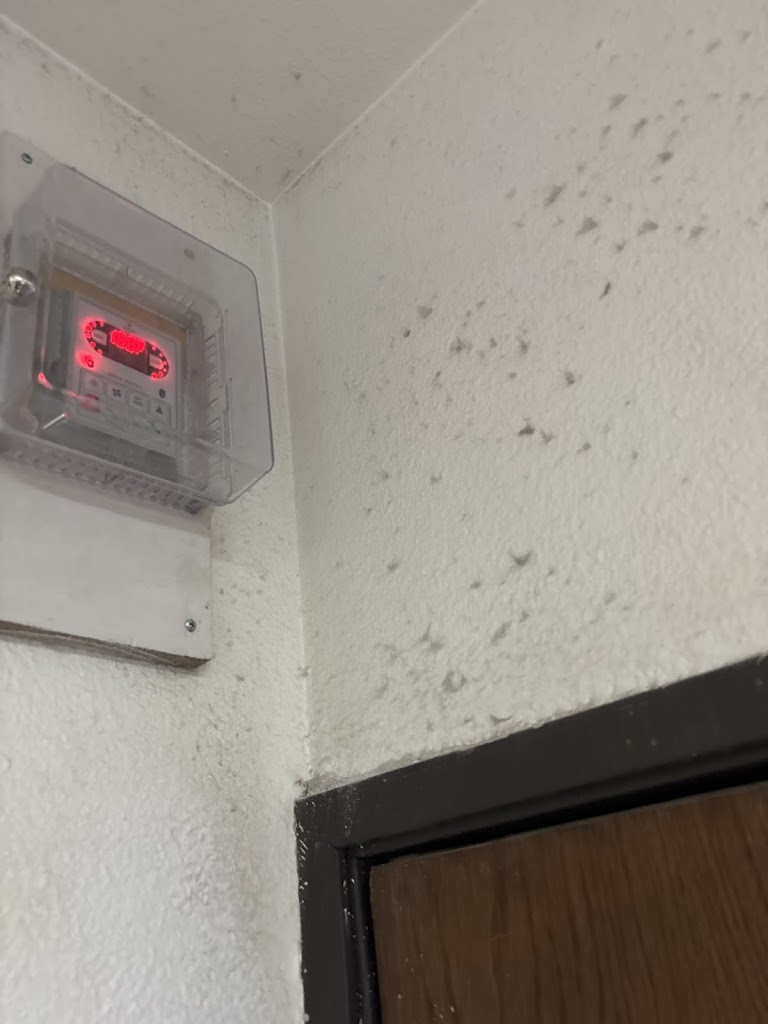  Crunch Fitness - Meridian