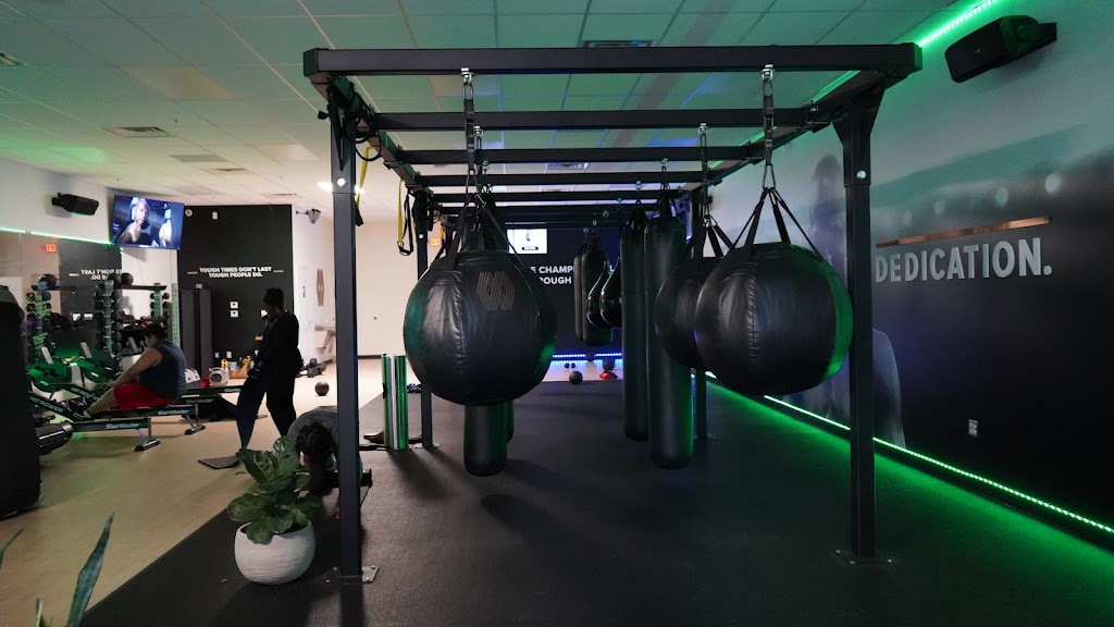  Mayweather Boxing + Fitness