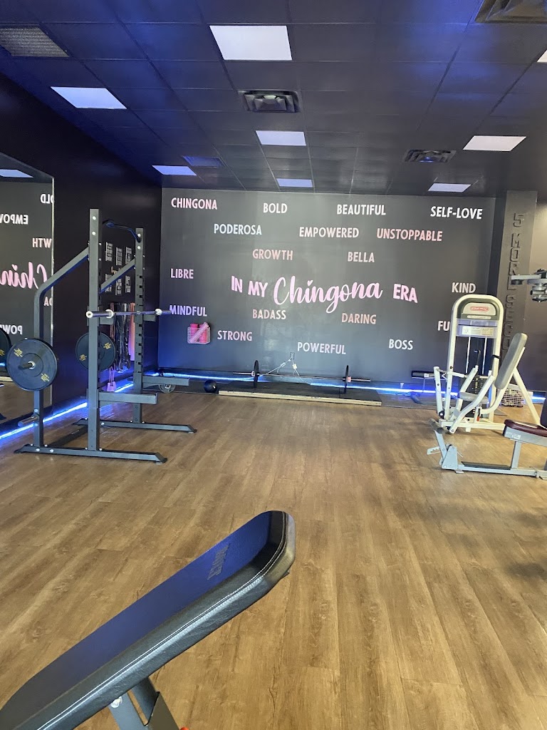  Stephitness by Iron Sight