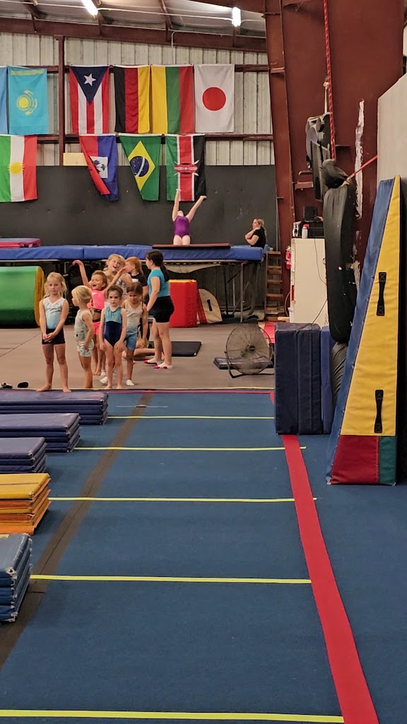  Elite World Gymnastics