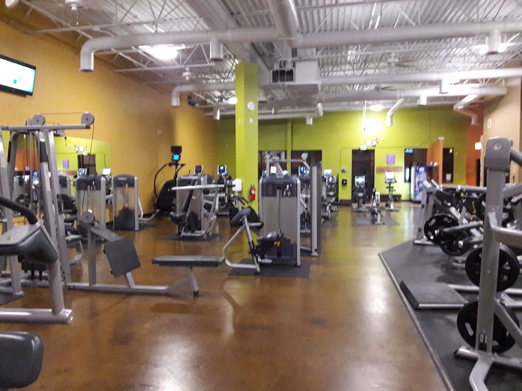  Anytime Fitness