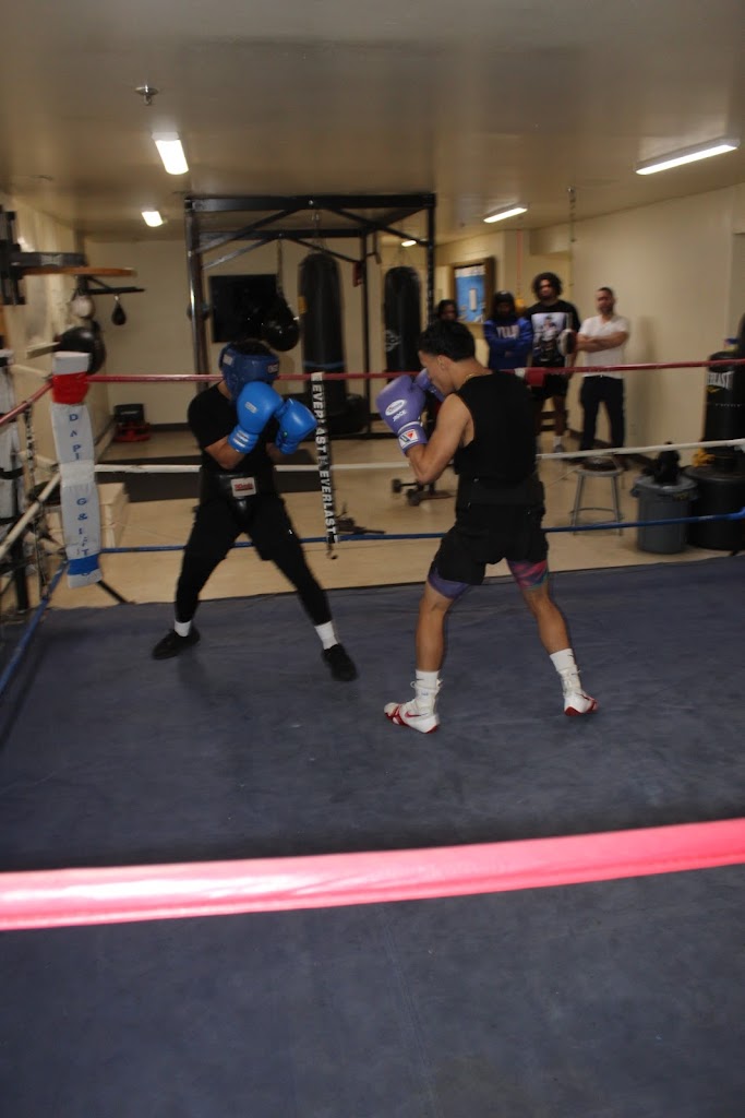  The Sugar Factory Inc - Virtual Boxing gym Trainer