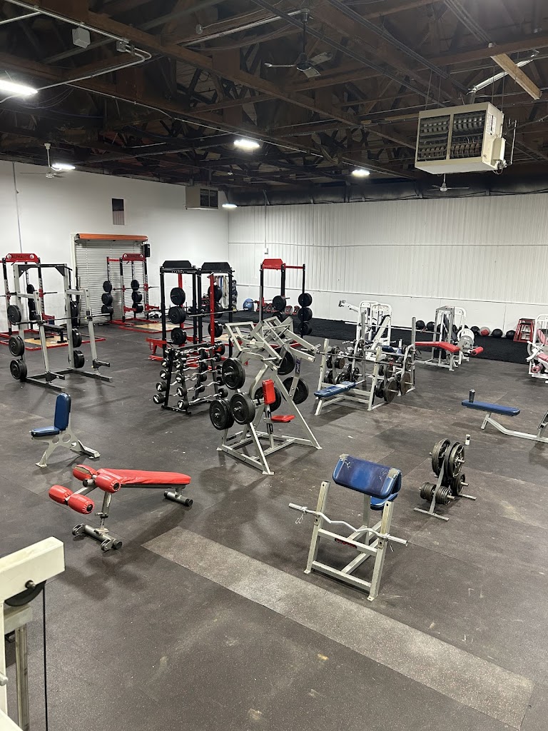  Alphalete Performance and Fitness