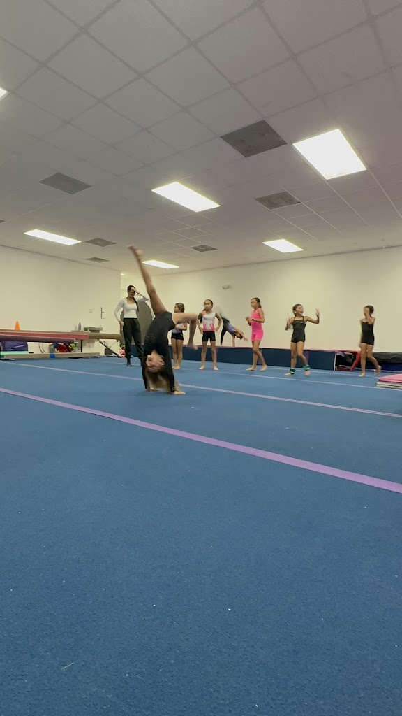  Andinas Star Gymnastics