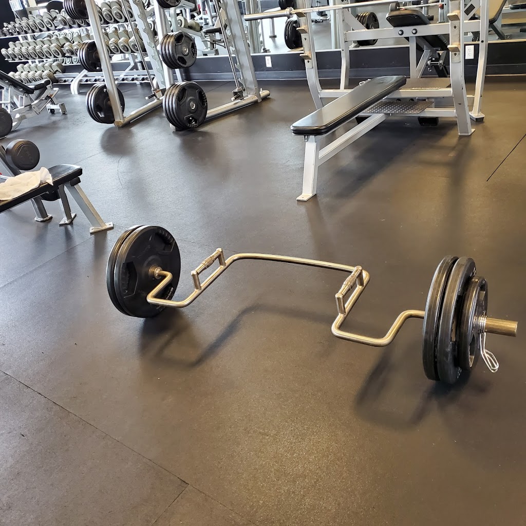  The Body Shop Company