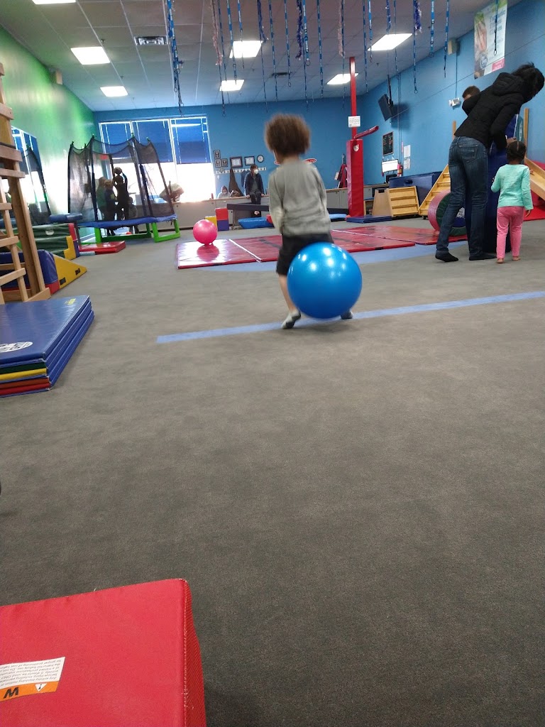 My Gym Children's Fitness Center