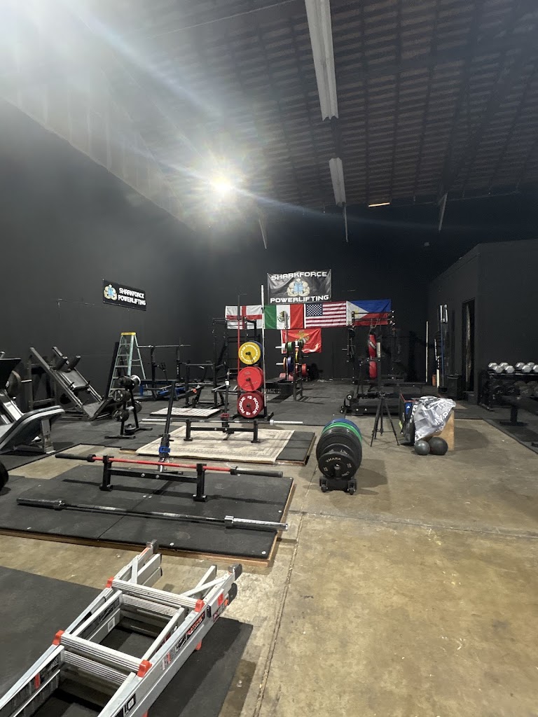  Sharkforce Power House