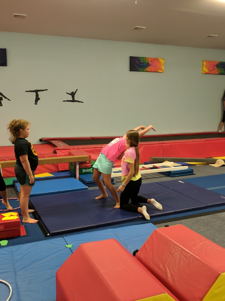 Tammy's Tumbling & Gymnastics