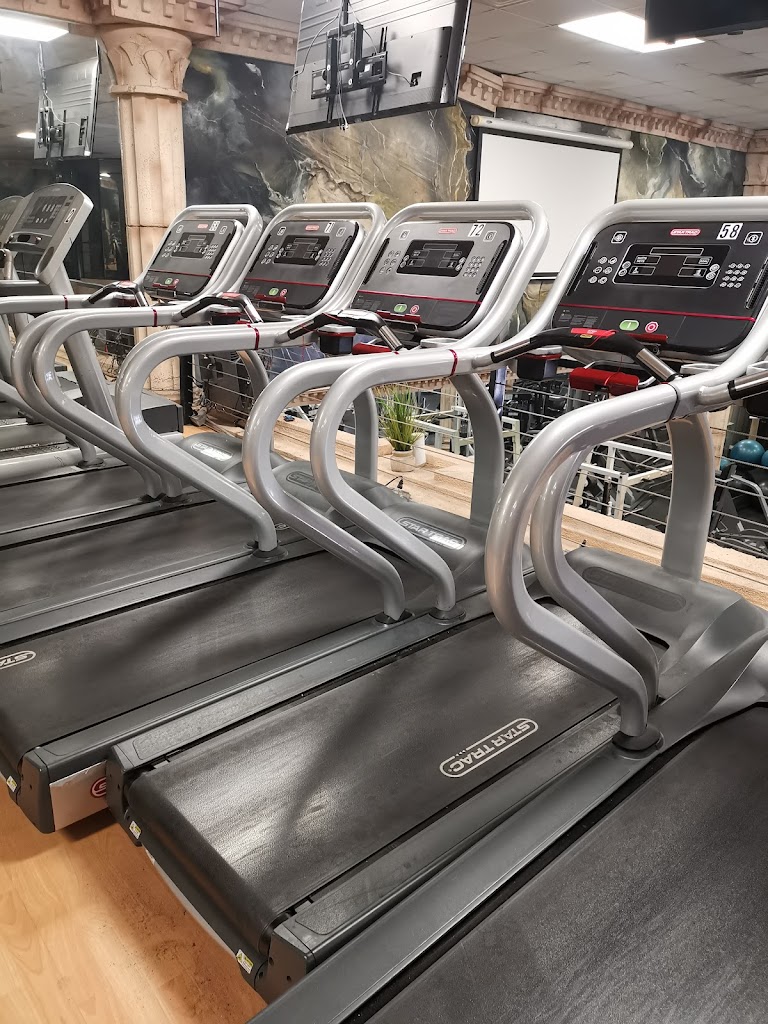  Olympus Muscle & Fitness