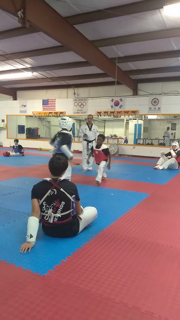  Olympic Style Taekwondo