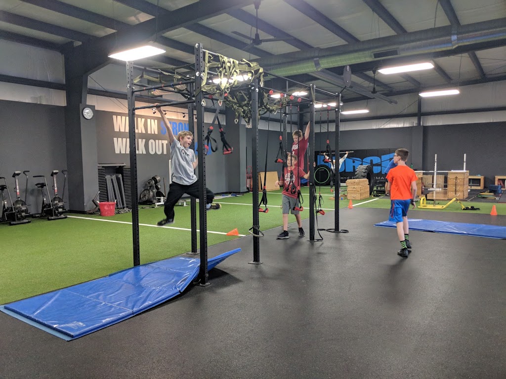  Force Fitness and Performance