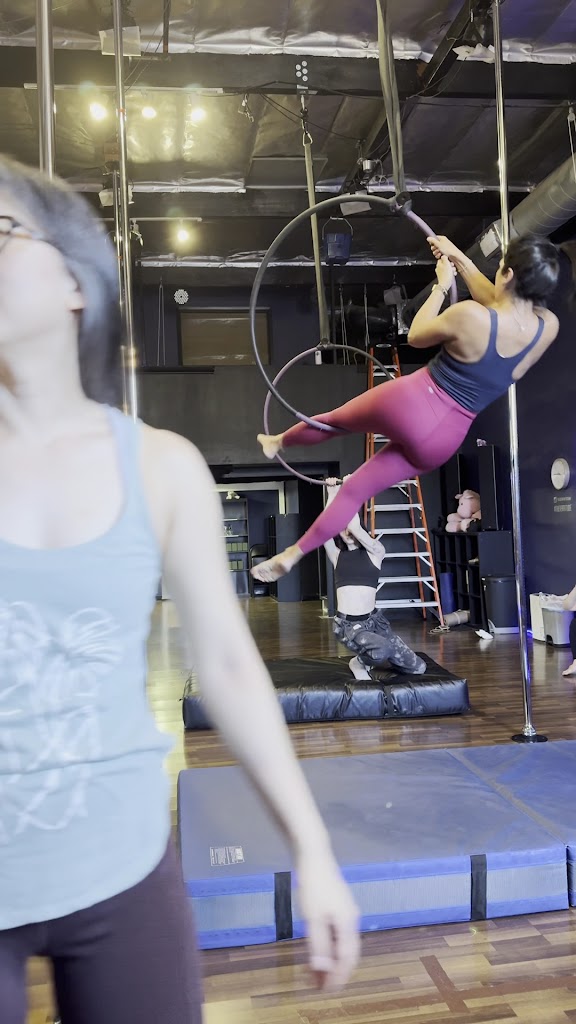  The Vertitude L.A. - Pole : Aerial : Fitness
