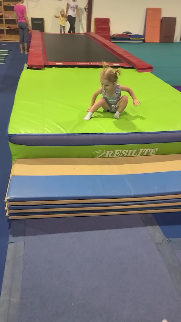  Force Gymnastics