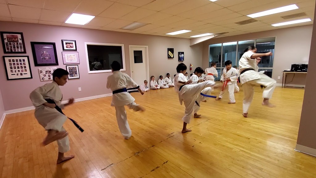  Kyokushin Karate NC