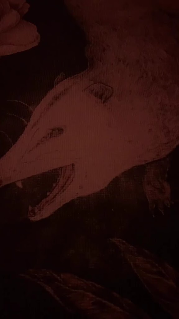  Firefly Hot Yoga Barre