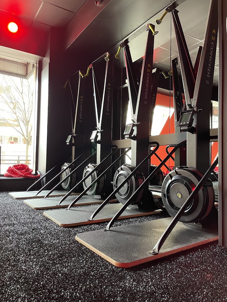  CUT SEVEN - ARLINGTON