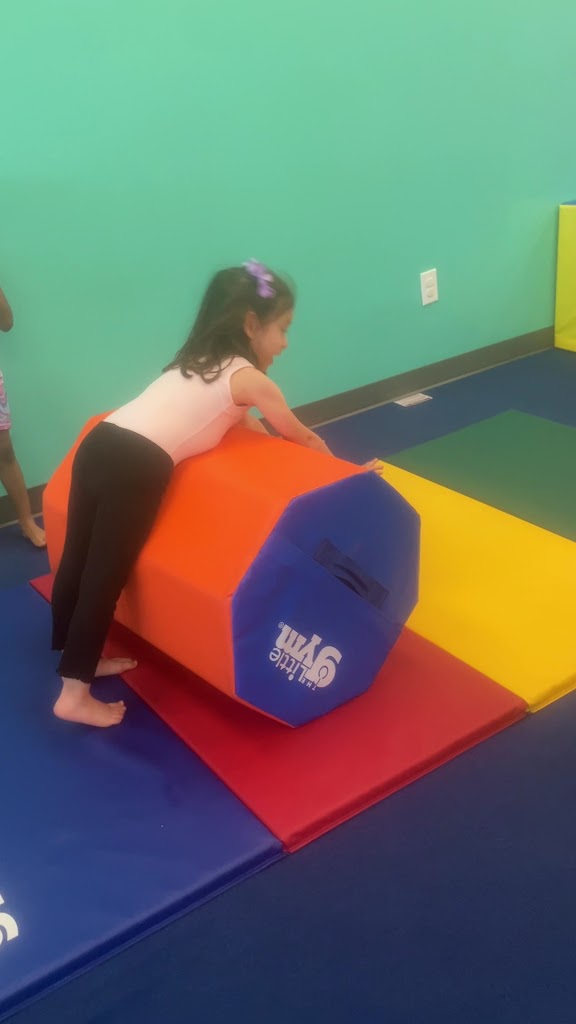  The Little Gym of Kennesaw, GA