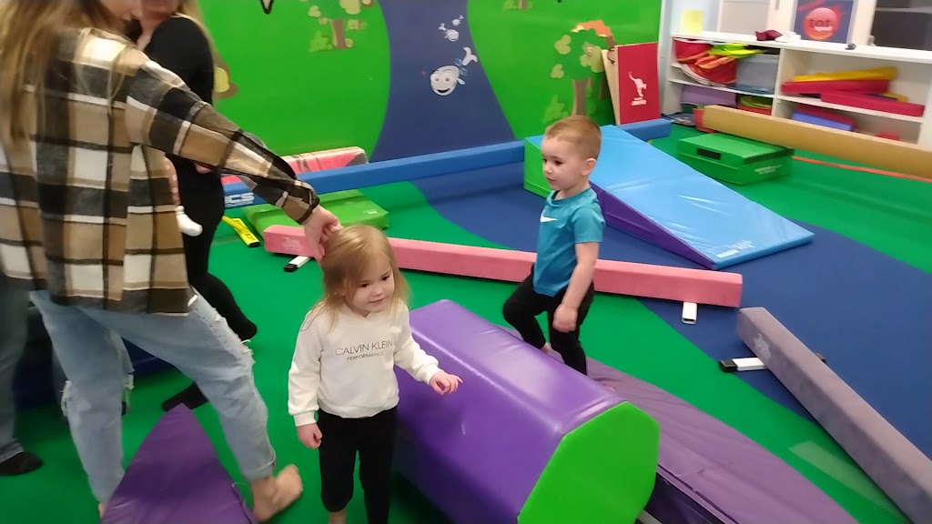  All American Flames Gymnastix