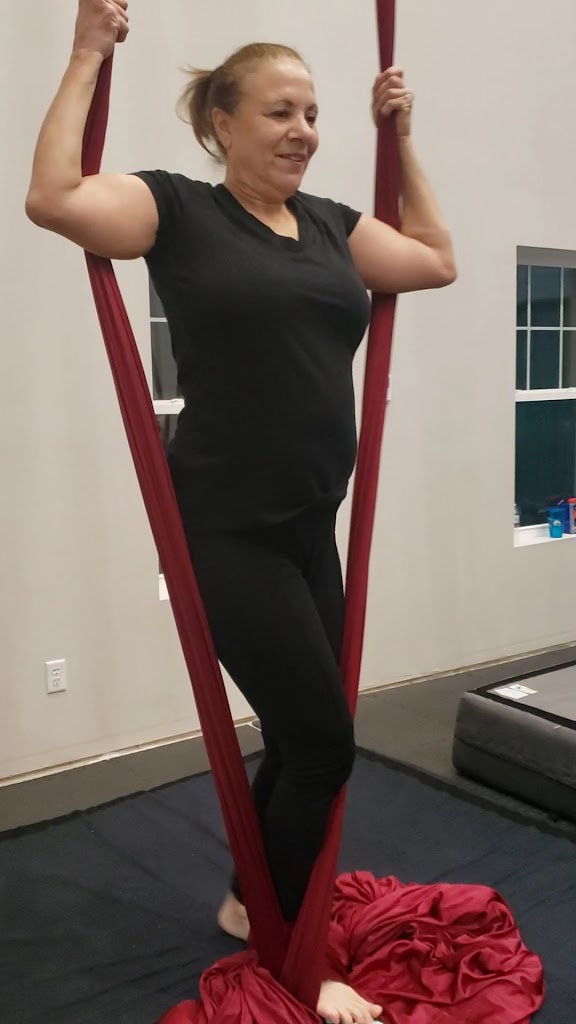  The Lofty Life Aerial Dance, LLC.