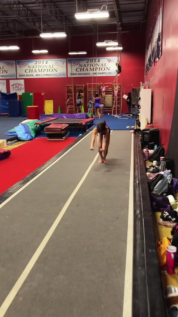  TAG USA Gymnastics