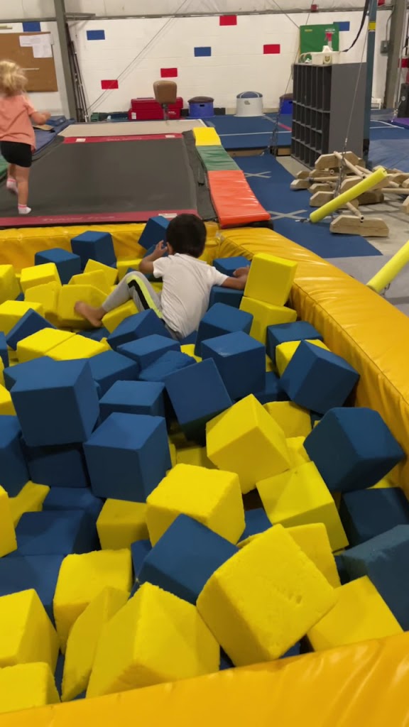  Grand Blanc Gymnastics Company