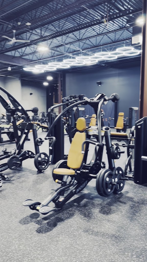  Status Strength and Fitness