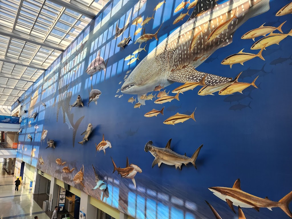  Don Taft University Center at Nova Southeastern University