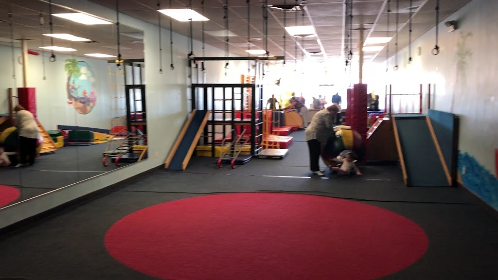  My Gym Children's Fitness Center