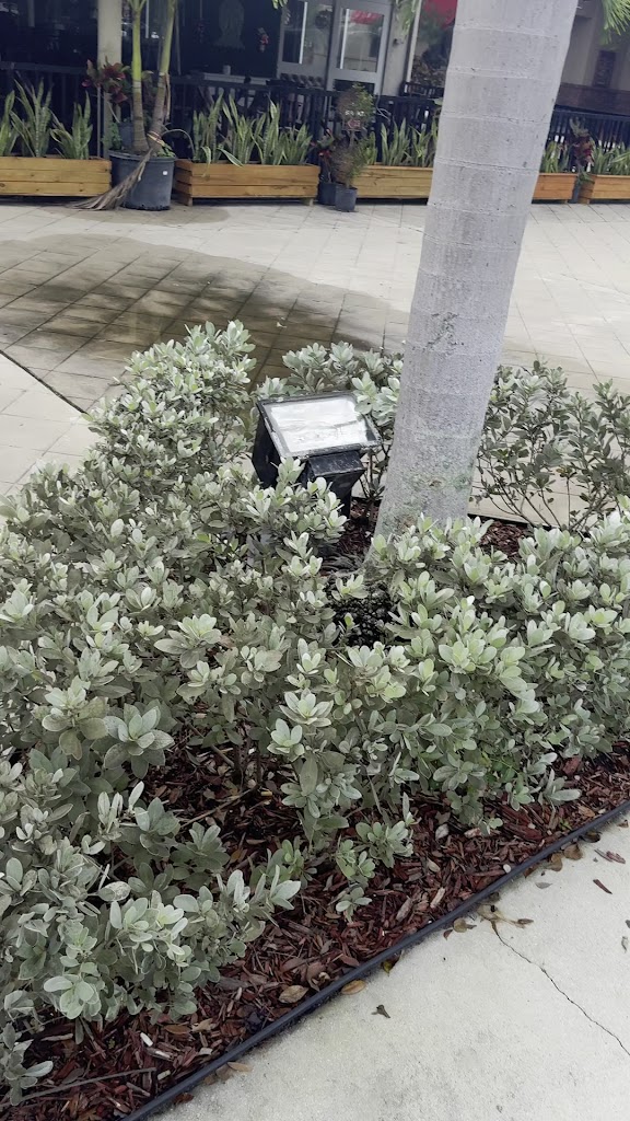  The Exercise Coach Coral Springs FL