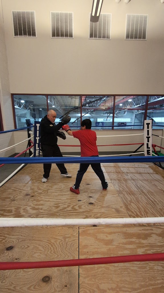  HACP boxing