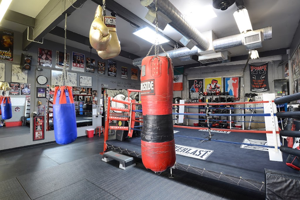  IronGloves Boxing Gym